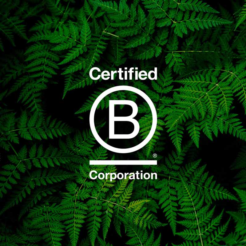 BCorp logo on flax leaves background