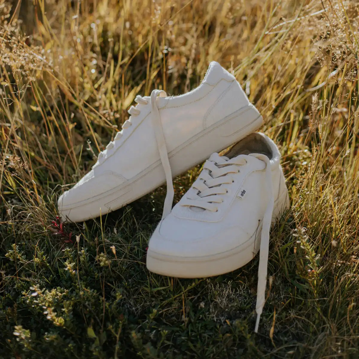 Orba Ghost Sneakers in grass at sunset